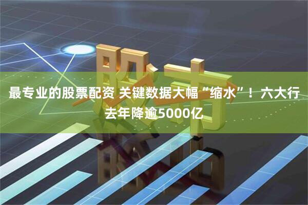 最专业的股票配资 关键数据大幅“缩水”！六大行去年降逾5000亿