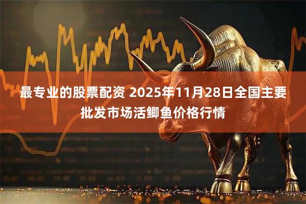 最专业的股票配资 2025年11月28日全国主要批发市场活鲫鱼价格行情
